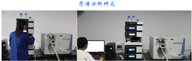質(zhì)譜分析研究.png